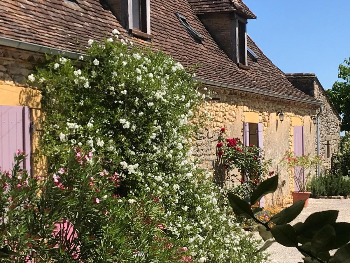Chambre D'Hotes La Ferme De La Croix. Saint-Avit-Sénieur Kültér fotó